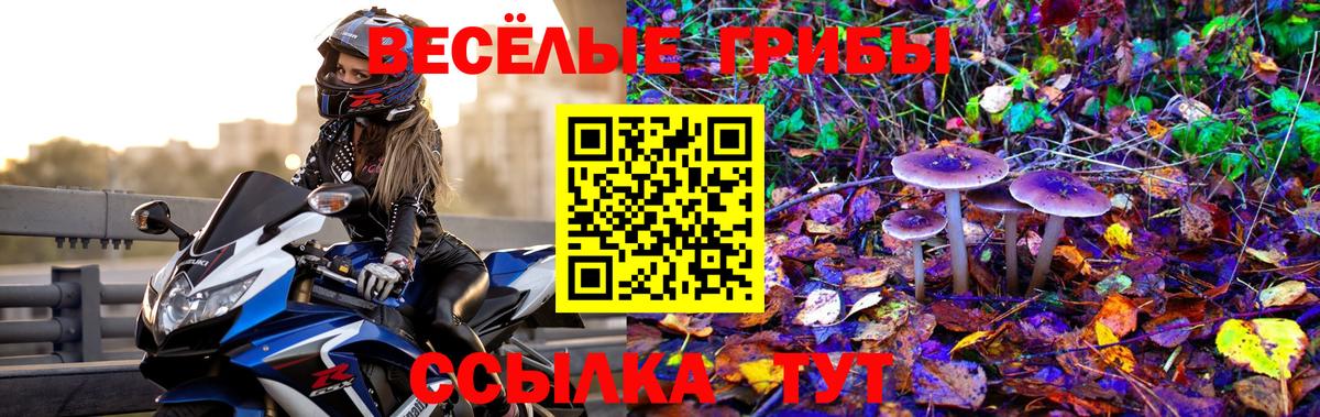 Жуковский  Псилоцибиновые грибы прущие грибы  Псилоцибиновые грибы Cubensis  Вход с VPN 